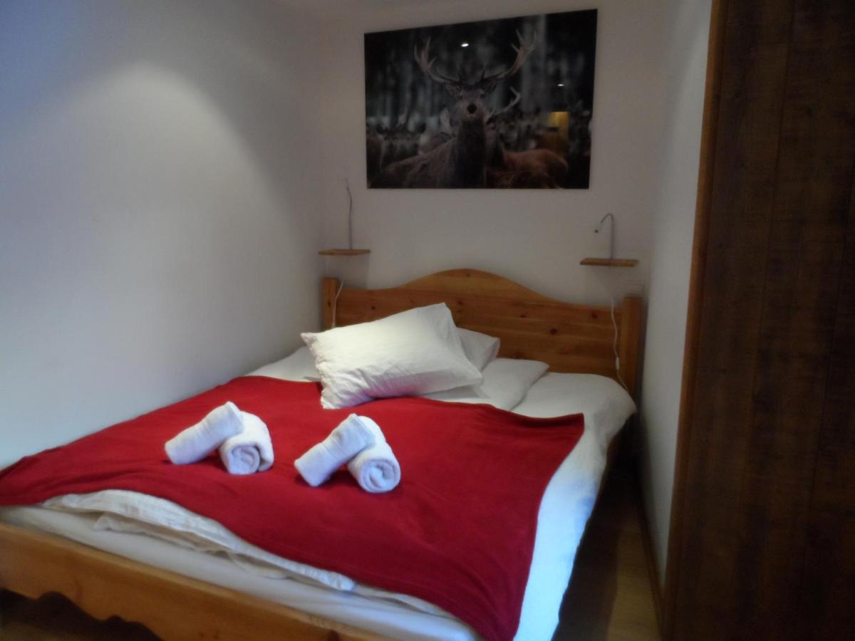 Prachtig Familie Appartement Voor 6 Personen In Het Hart Van Argentiere, Chamonix Mont-Blanc المظهر الخارجي الصورة